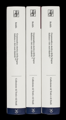 Grammatica storica della lingua italiana e dei suoi dialetti